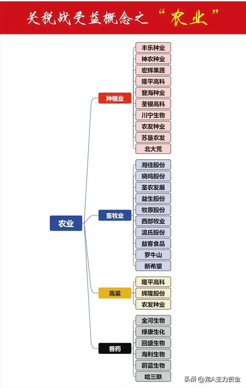 科技引领，国产突围 聚焦存储芯片、农业科技与国产替代的信息技术研发趋势