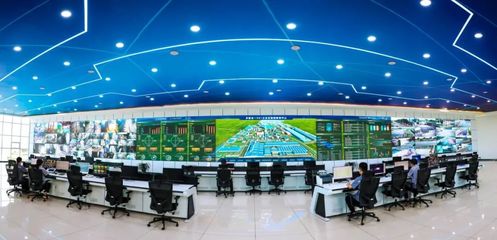 金鼎钢铁 以信息技术研发之“绿”，铸就发展底色中的别样“红”